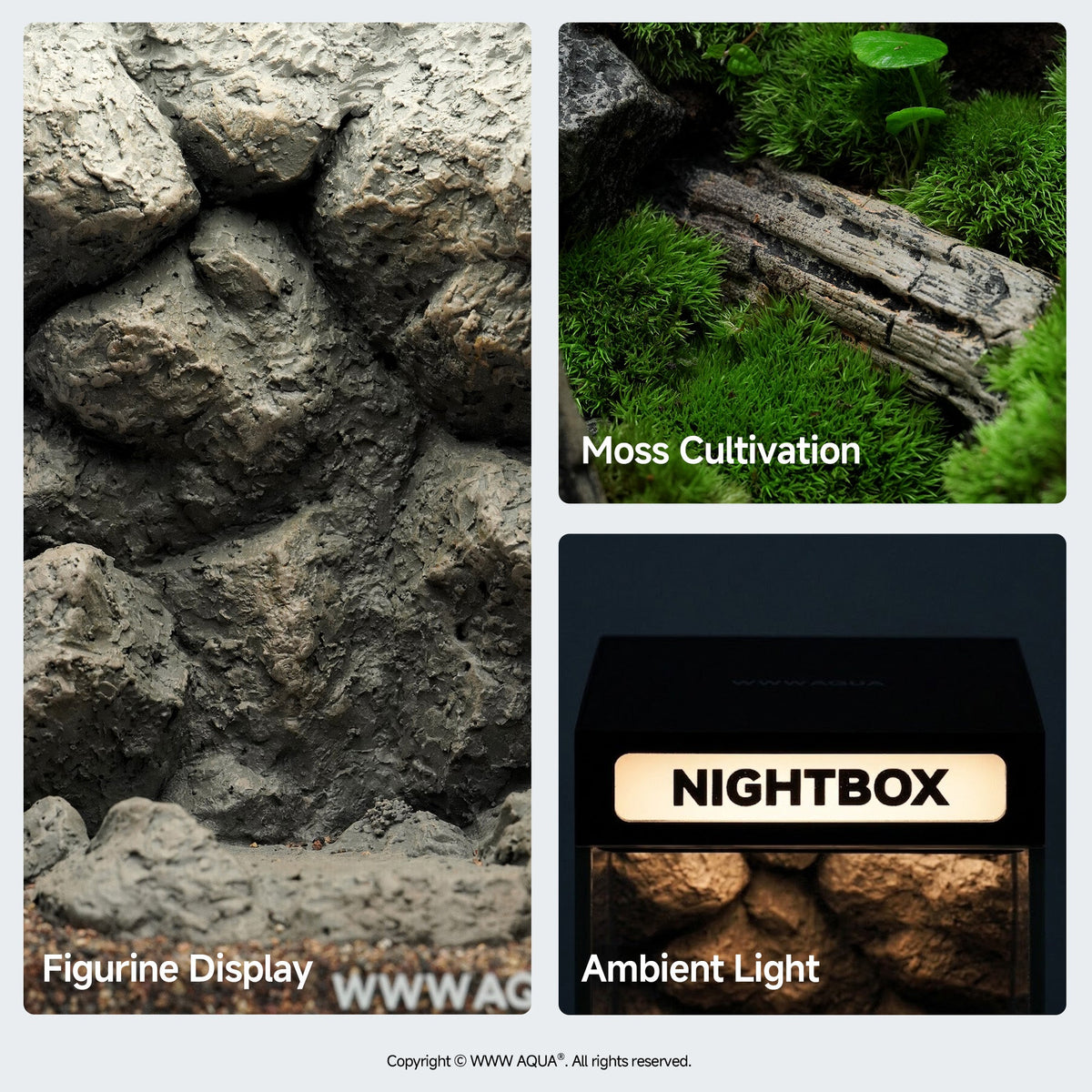 WWWAQUA｜Stone Haven | Artistic Mini Aquarium | WWWAQUA