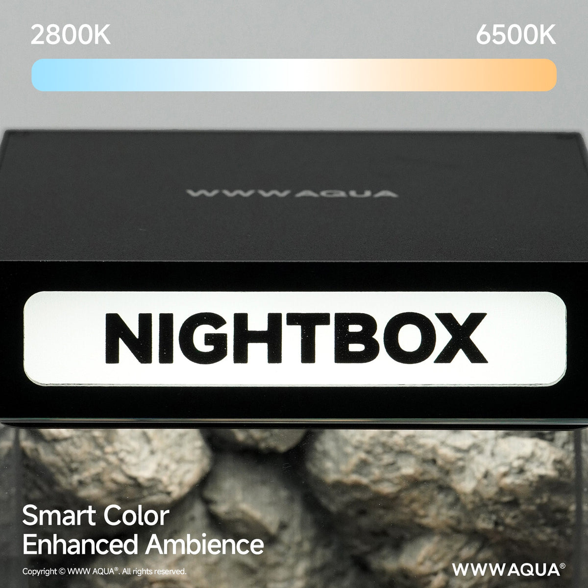 WWWAQUA｜Stone Haven | Artistic Mini Aquarium | WWWAQUA