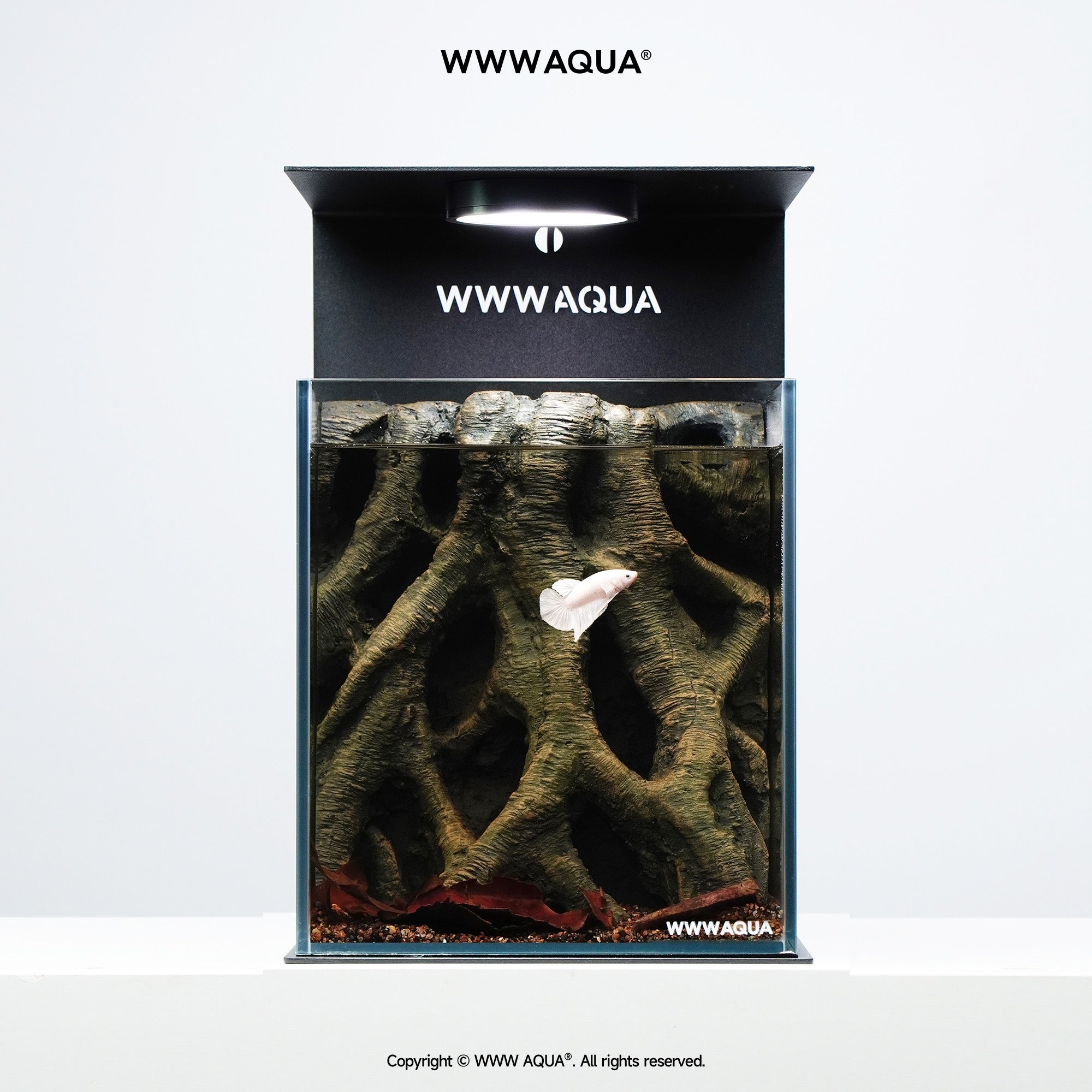 WWWAQUA｜Veins of the Grove | Artistic Mini Aquarium | WWWAQUA
