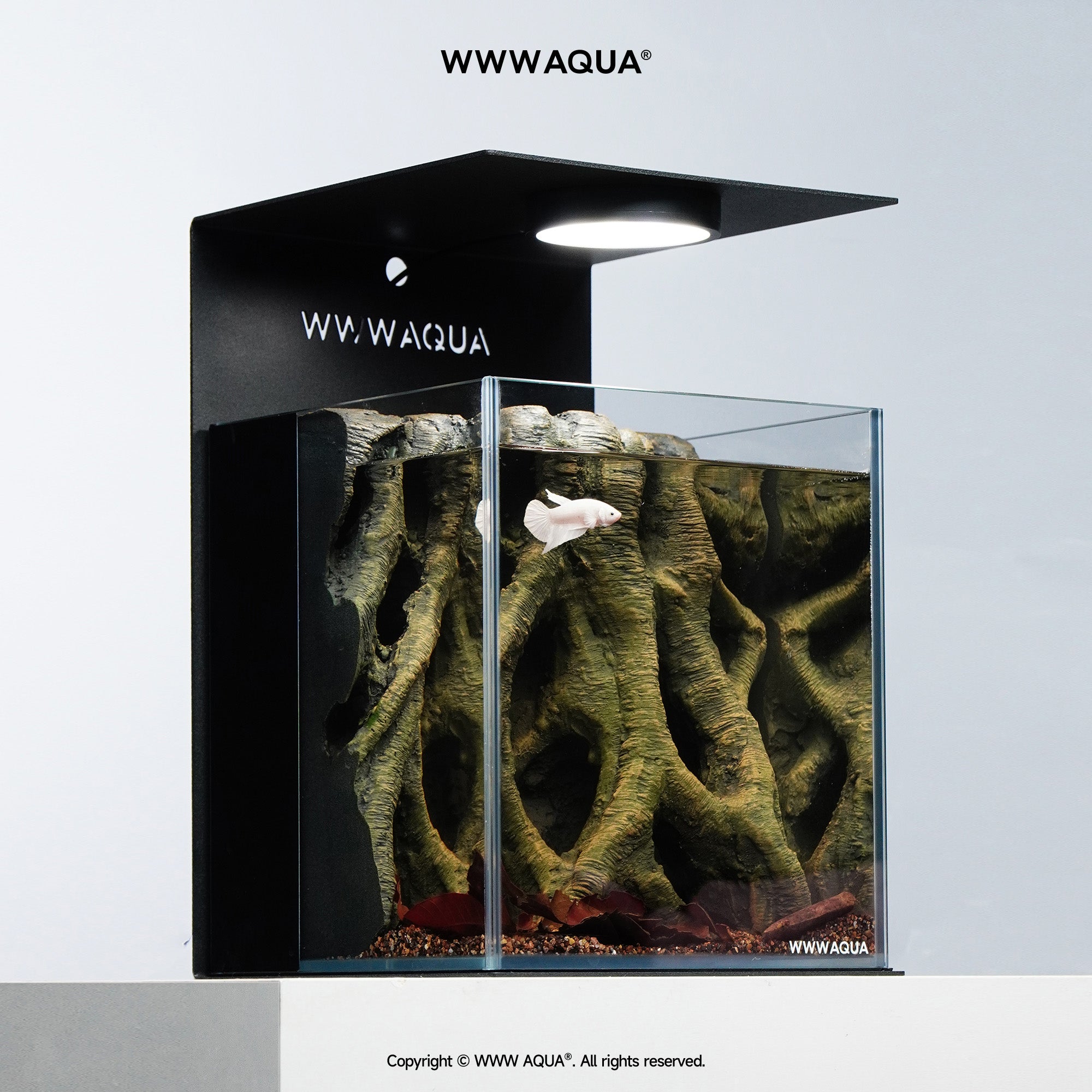 WWWAQUA｜Veins of the Grove | Artistic Mini Aquarium | WWWAQUA