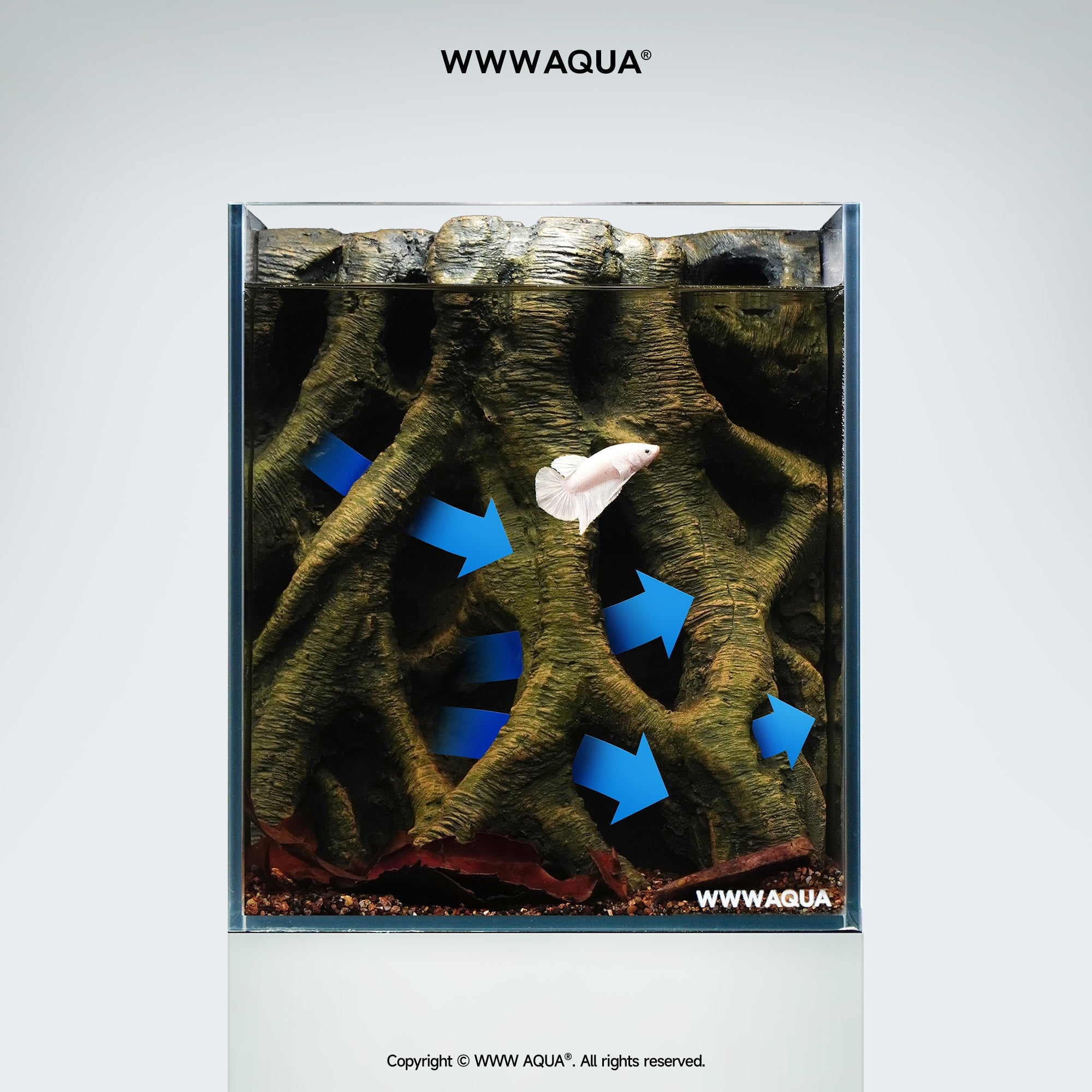 WWWAQUA｜Veins of the Grove | Artistic Mini Aquarium | WWWAQUA