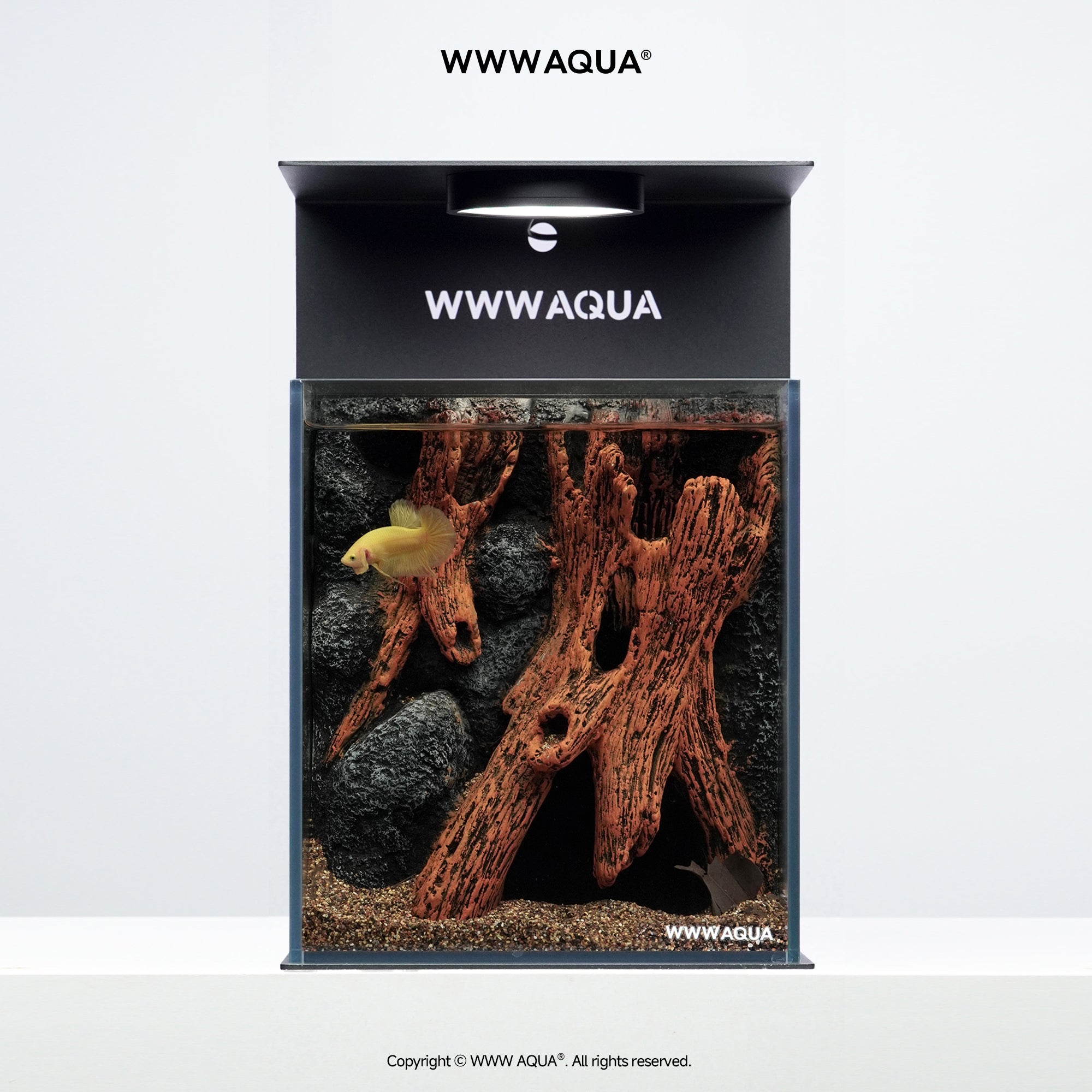 WWWAQUA｜Whispers of Hollowroot | Artistic Mini Aquarium | WWWAQUA